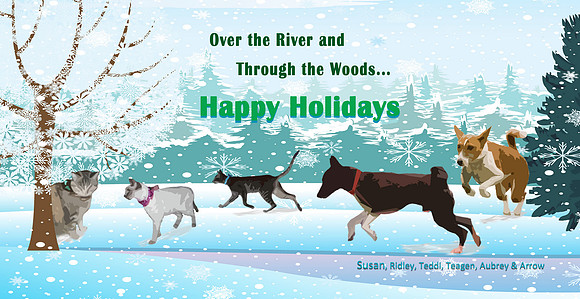 Cook 2012 Christmas Card