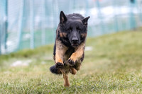 MCH77235