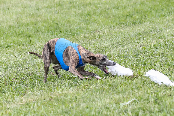 Finals Open A4, Steve Teak Zoe-410366
