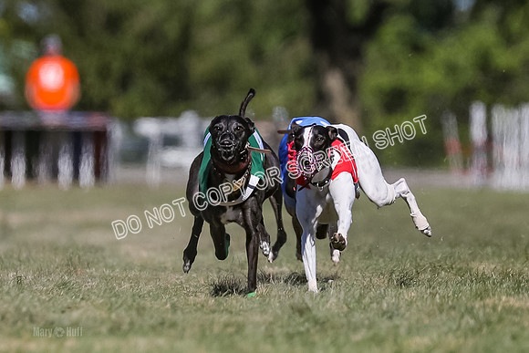 Prg 4, Race 3, Dazzle Margot Cherry Pie Clyps Tahoe-0127