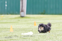 Cat Test 2-1003
