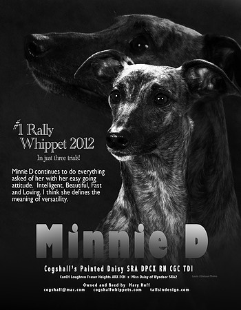 Huff 2012 Minnie D