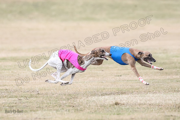 1Prelim Open 3 Eggsy Trixie Treble-3050