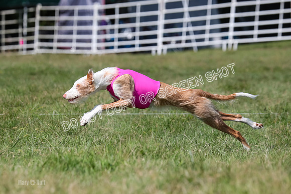 Open Prelim A2, Madyson, Razz-7625