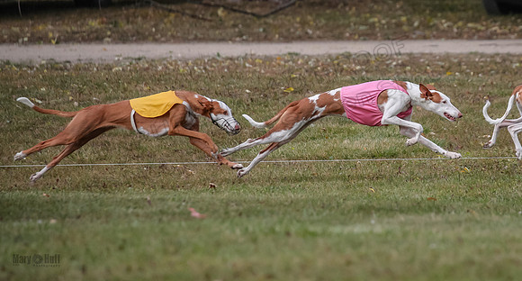 1 Prelims Fch 1 Penny Jadis Willow-5757