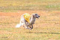 1 Prelims Open Spiff Ripley-0512