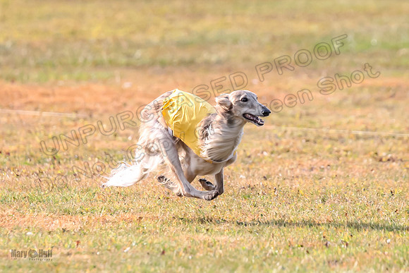 1 Prelims Open Spiff Ripley-0512