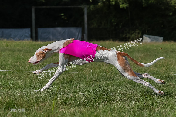 Prelims Kuiper-7468