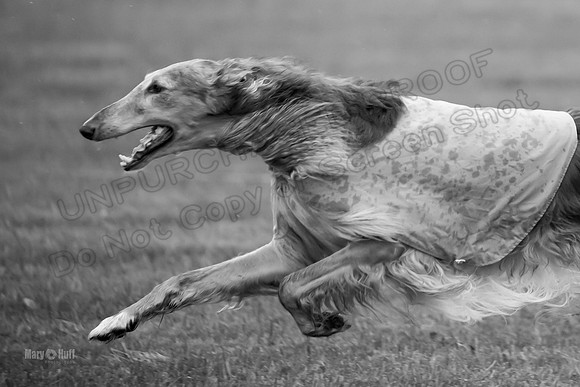 Open Prelim Bluegene Rhett Zen-0499-2