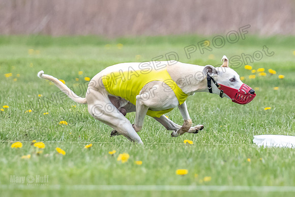 Finals Fch A2 Zinger Rush-9173
