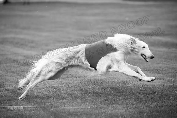Open Prelim Bluegene Rhett Zen-0505-2