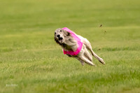 Prelim Open Silken-0405