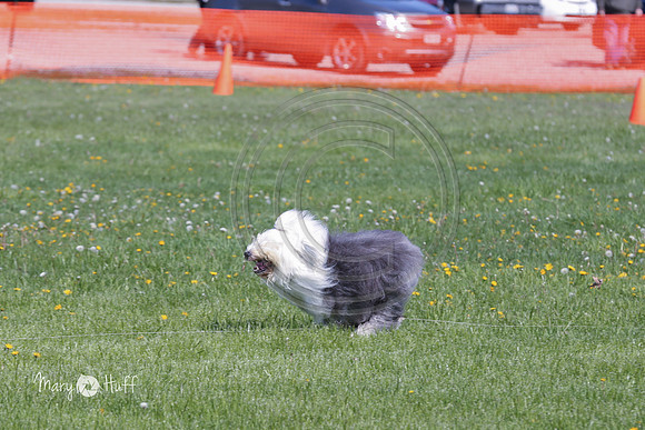 HO4A3905