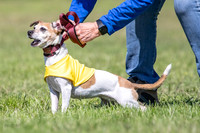 Rocki Girl-6481