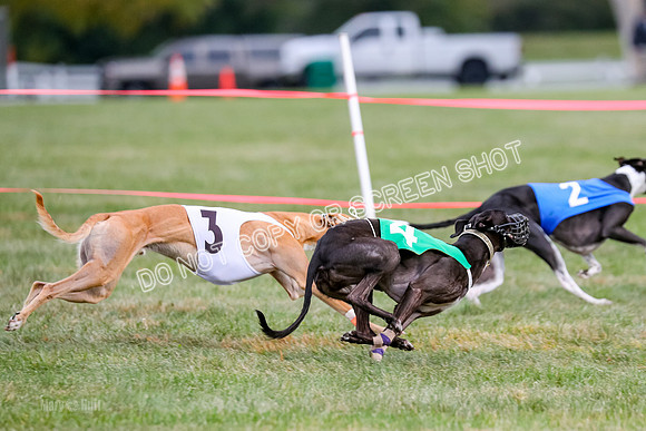 Prg 1, Race 16, Carl Maybe Bookie Sealli-0989