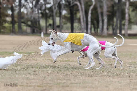 Finals Open 2 Cheese PeteySue Treble-3989