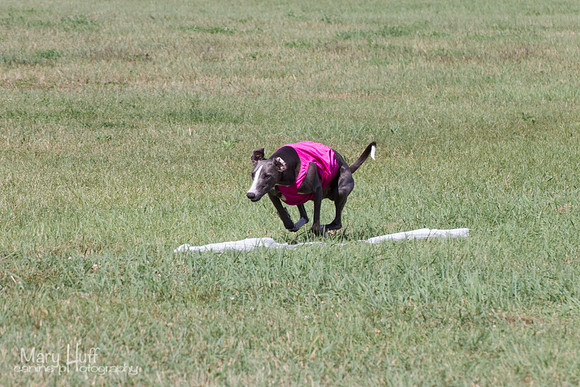 IMG_6288