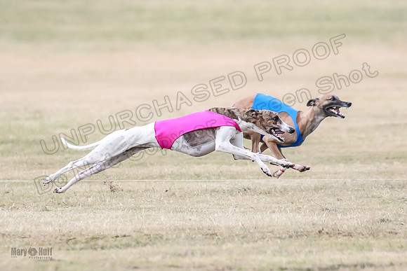 1Prelim Open 3 Eggsy Trixie Treble-3052