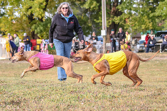 1 Prelims Vet Libby Xena-0395