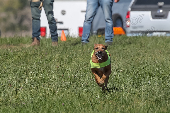 2 Finals Vet 1 Zayin Xena-8071