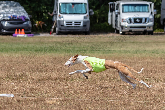 Finals Veteran 1 Jesse Bettie-1528