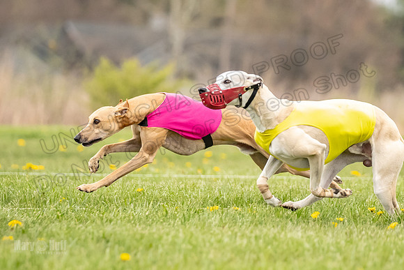 Finals Fch A2 Zinger Rush-9138