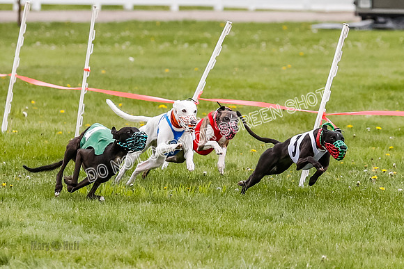 NOTRA Program 4, Race 1, Warrior Barley Flair Victor-2-14
