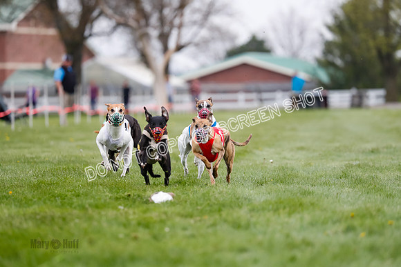 WRA, Prg 2, Race 9, Cheetah Buttercup Entei Smudge Beacon CC-8899