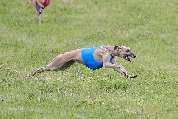 Prelim Veterans 4, Smokey Vulcan Justice-0186