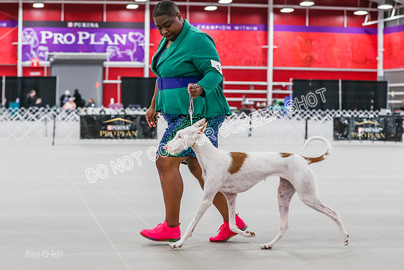 AE4I5407