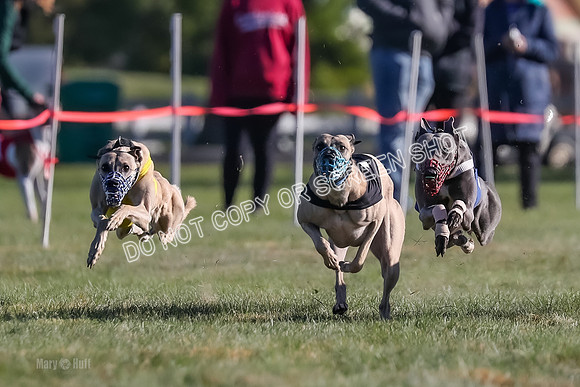 Prg 1, Race 18, Hillary Axl Chase Joplin Rum-9266