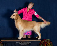 2nd American Bred Dog -Show 1, Saturday