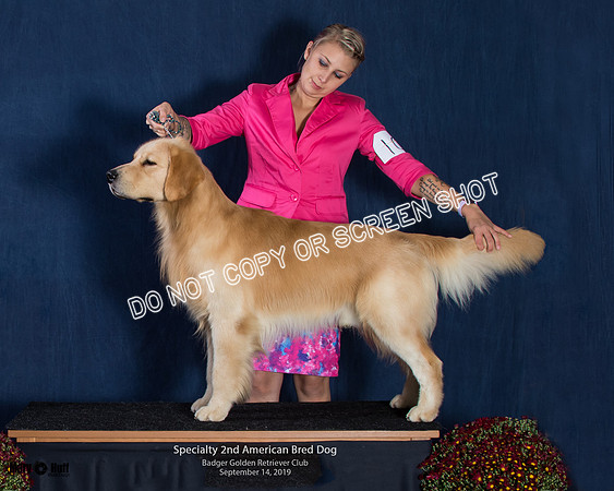 MCH76561-Edit-Edit