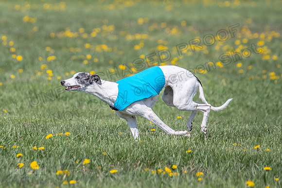 1Prelims Specials B6 Mantle PeteySue Echo-1579