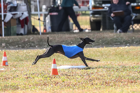 Finals Hank-3611