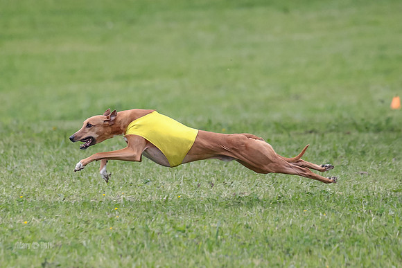 Prelim Veterans 4, Smokey Vulcan Justice-0175