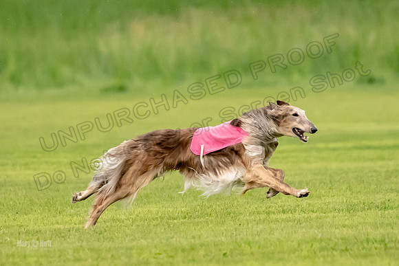 Open Prelim Bluegene Rhett Zen-0484