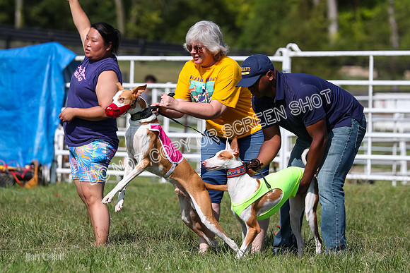 Open Prelim B2, Latte, Wizard-7844