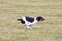 IMG_7774