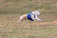 1 Prelims Open 1 AnnieOakley Fennec Zero-1239
