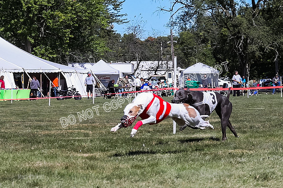 Prg 3, Race 2, Reas Cobalt Mika Blitz-9583