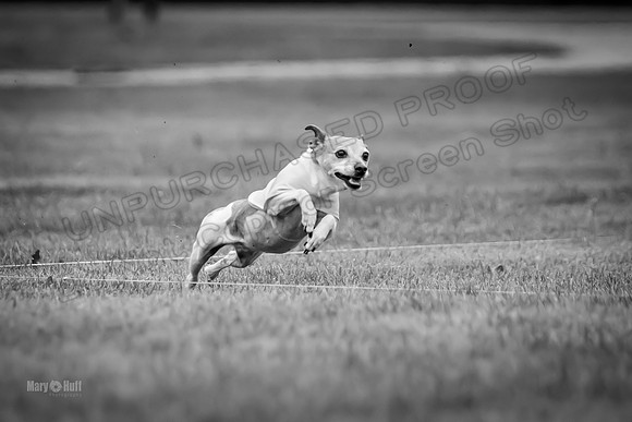 Prelims Rocketgirl-1125-2