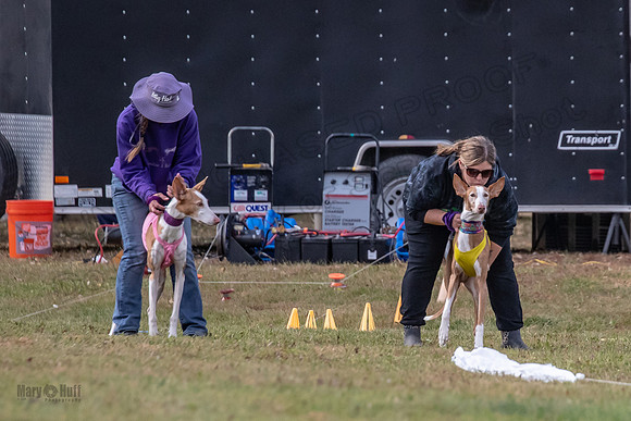 Finals Vet Izzy Thea-3263