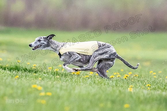 Finals Fch A1 Whisper Treble JesseJames-9069