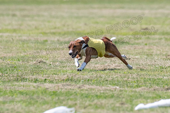 Finals-0177
