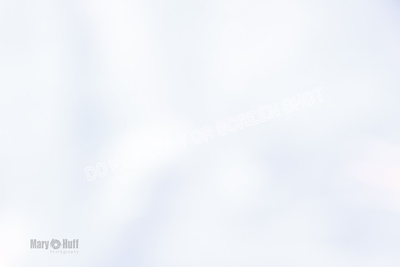 _F4I9041
