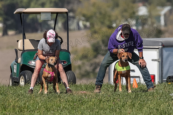 2 Finals Vet 1 Zayin Xena-8058