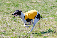 Prelim, Chuck Pearl Quinn-2486