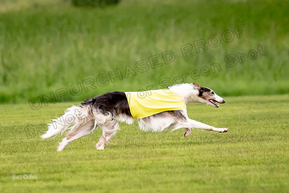 Open Prelim Bluegene Rhett Zen-0492