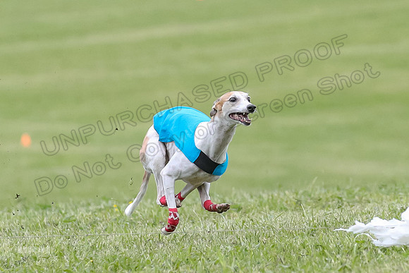 Finals Vets 4, Parker Marley Brag-2393